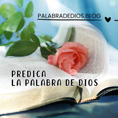 Predica la Palabra de Dios - Palabra de Dios
